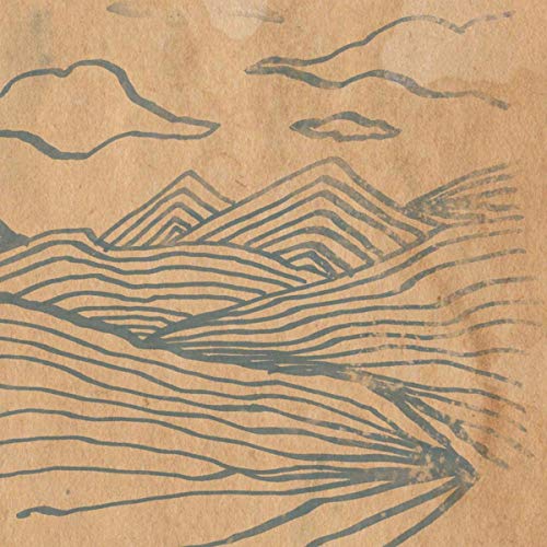 WOODEN WAND - FARMERS CORNER - Vinyl Record VL image 1