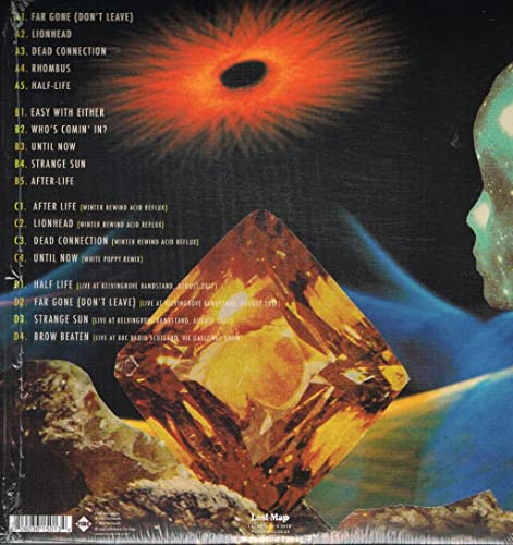 Pictish Trail - Future Echoes - Vinyl Record image 2