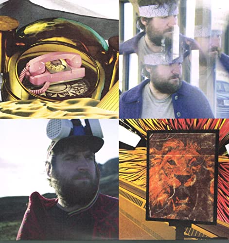 Pictish Trail - Future Echoes - Vinyl Record image 4