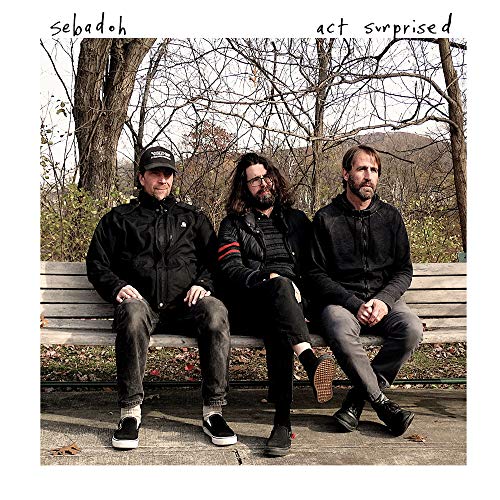 Sebadoh - Act Surprised - CD image 1