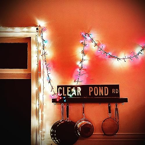 KRISTIN HERSH - CLEAR POND ROAD - Vinyl Record VL image 1