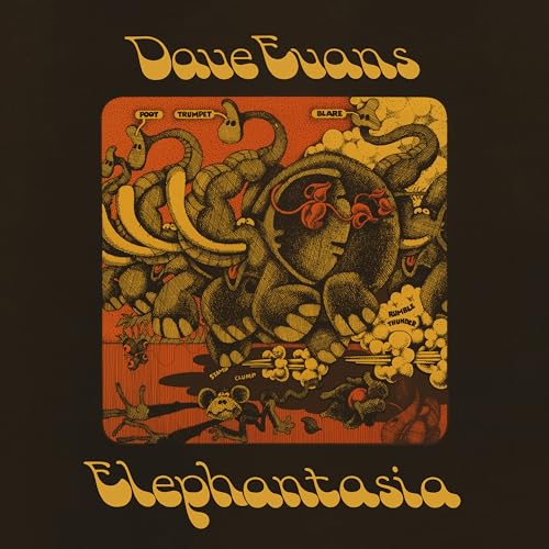 DAVE EVANS - ELEPHANTASIA - Used Vinyl Record VL image 1