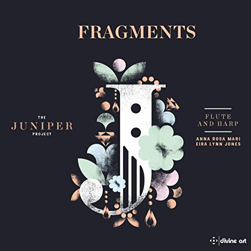 Juniper Project - : Fragments - CD image 1