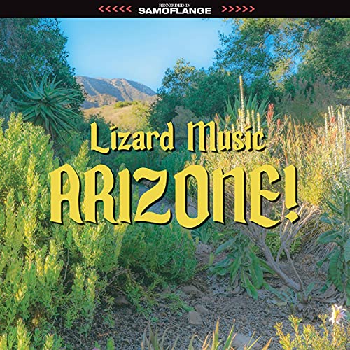 LIZARD MUSIC - ARIZONE! - Vinyl Record image 1