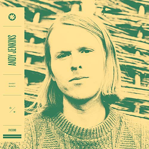 Andy C. Jenkins - Sweet Bunch - Vinyl Record image 1