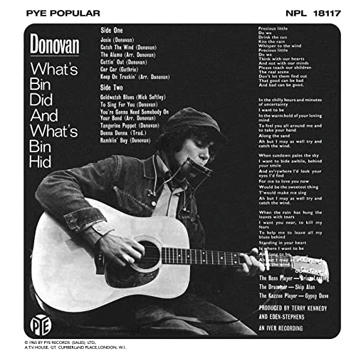 DONOVAN - WHAT'S BIN DID & WHAT'S BIN HID (BLUE & WHITE) - Vinyl Record image 4