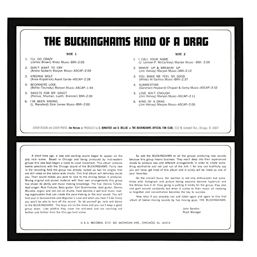 BUCKINGHAMS - KIND OF A DRAG - Vinyl Record image 4