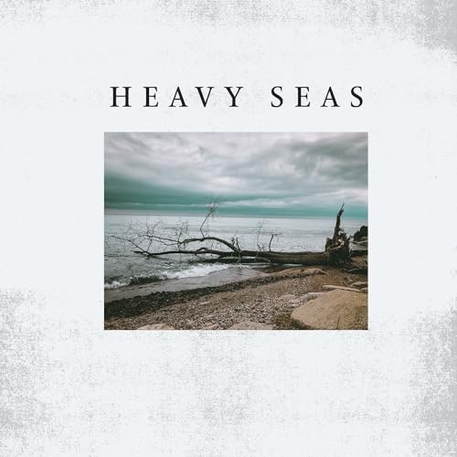 HEAVY SEAS - DISTORTION DAYS - Vinyl Record image 1
