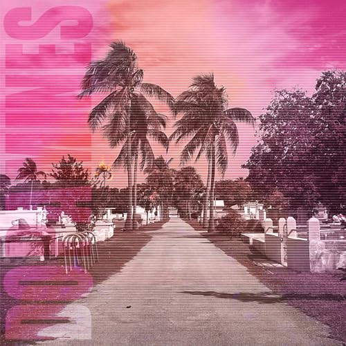 DOPAMINES - 80/20 - Vinyl Record image 1