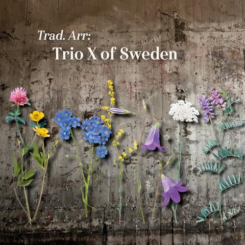 TRIO X OF SWEDEN - TRAD. ARR - cd image 1
