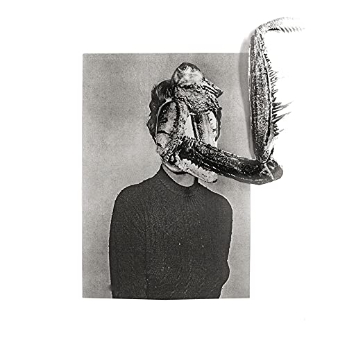 Obsidian Kingdom - Mantiis - CD image 1