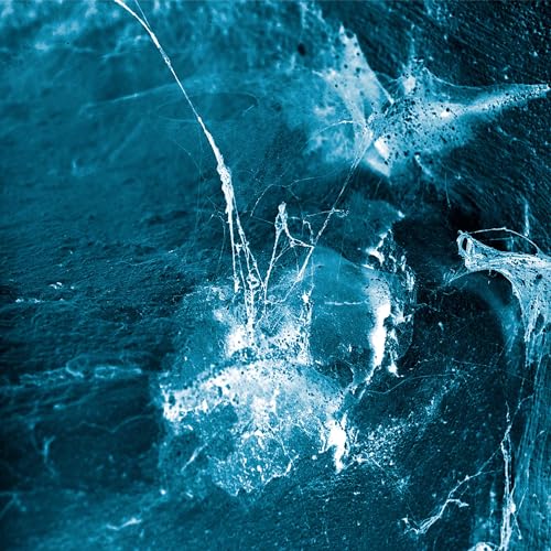 Arstiðir - Hvel - CD image 2