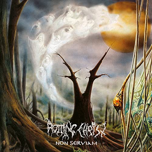 ROTTING CHRIST - NON SERVIAM - CDD image 2