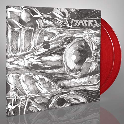 FORM IN MOTION - Vinyl Record DLP image 1