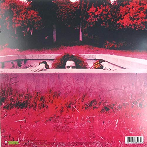 Frank Zappa - Hot Rats - Vinyl Record image 2