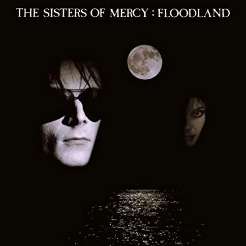Sisters Of Mercy - Floodland - Used Vinyl Record image 1