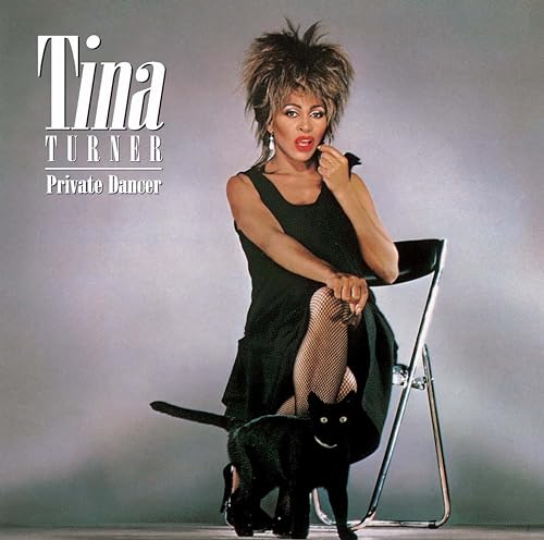 Tina Turner - Private Dancer - Vinyl Record image 1