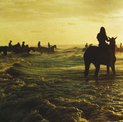Foals - Holy Fire - Vinyl Record image 1