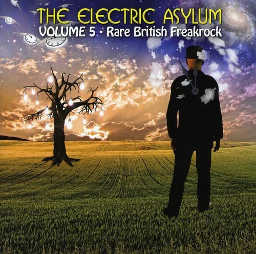VARIOUS ARTISTS - ELECTRIC ASYLUM VOL 5 - CD image 1