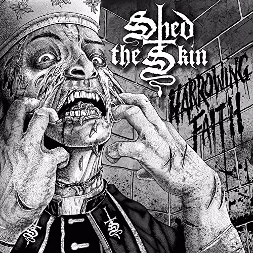 SHED THE SKIN - HARROWING FAITH - Vinyl Record image 1