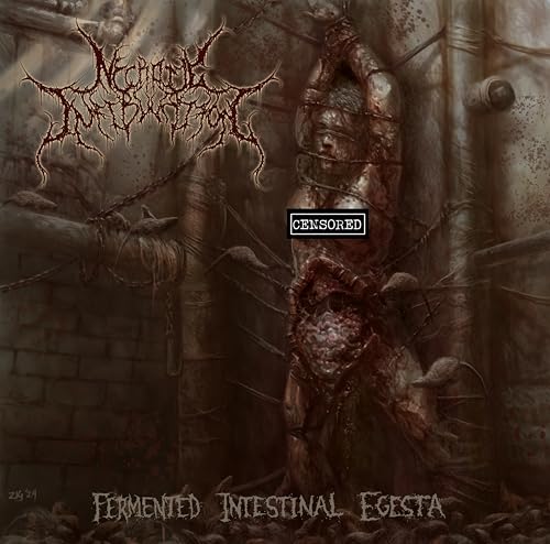 NECROTIC INFIBULATIO - FERMENTED INTESTINAL EGESTA - CD image 1
