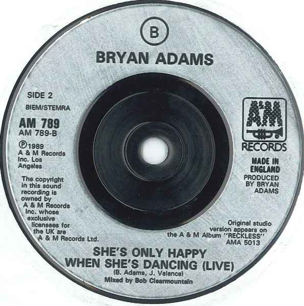 Bryan Adams - (Everything I Do) I Do It For You - Used Vinyl Record 7 image 4