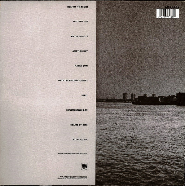 Bryan Adams - Into The Fire - Used Vinyl Record image 2