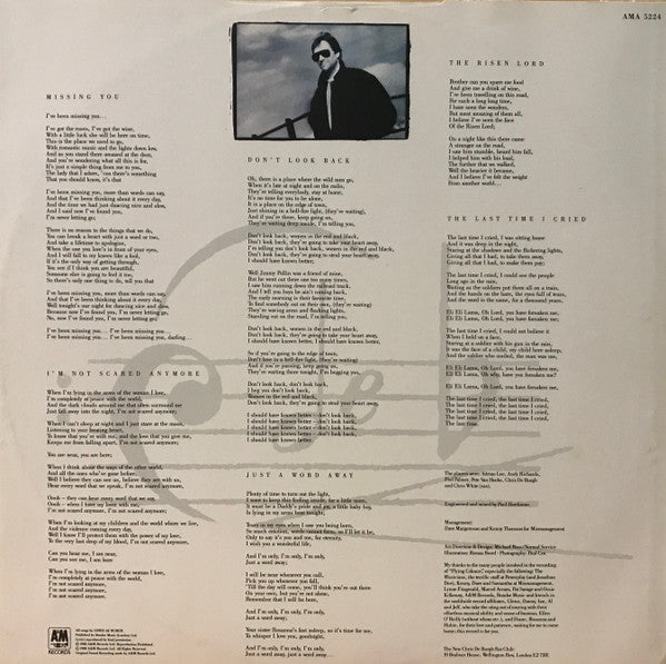 Chris de Burgh - Flying Colours - Used Vinyl Record image 5