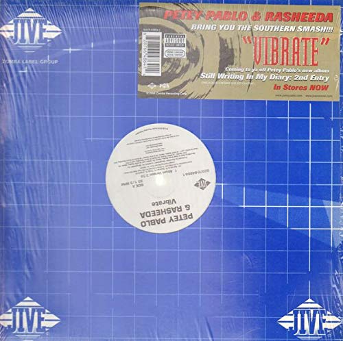 Petey Pablo - Vibrate - Used Vinyl 12" image 1