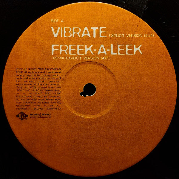 Petey Pablo - Vibrate - Used Vinyl 12" image 4