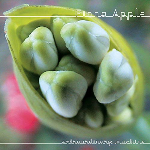 Apple Fiona - Extraordinary Machine - CD image 1