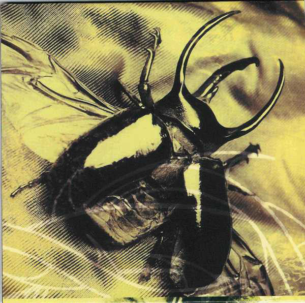 Paradise Lost - Icon - CD image 5