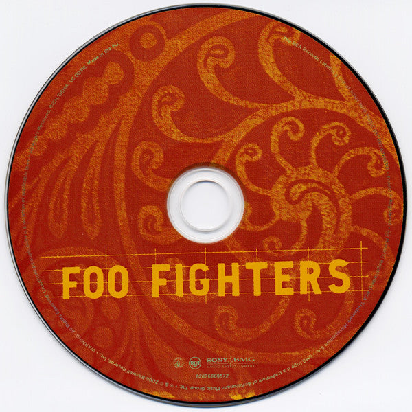 Foo Fighters - Skin And Bones - CD image 4