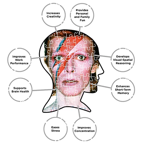 DAVID BOWIE - Aladdine 500 Piece Jigsaw Puzzle - Jigsaw Puzzle image 5