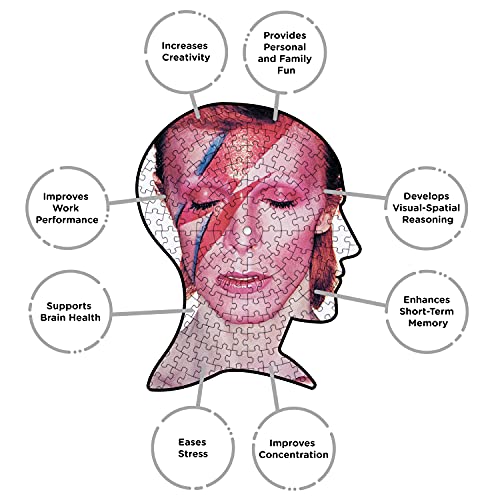 DAVID BOWIE - Aladdin Sane 450Pc Picture Disc Puzzle - Jigsaw Puzzle image 5