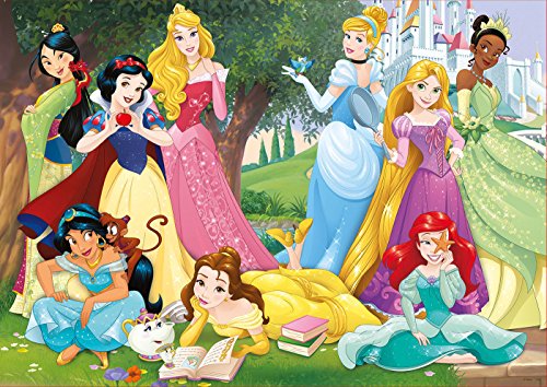 Disney Princesses - Non-book item image 2