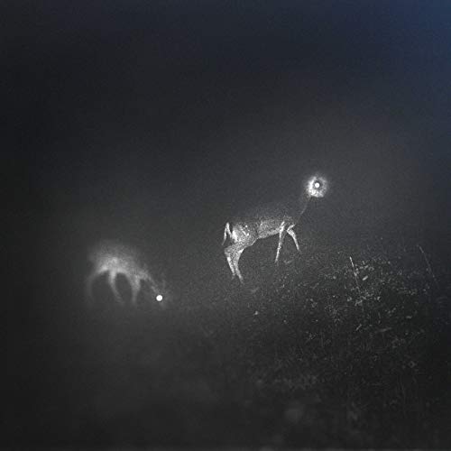BLISS SIGNAL - Vinyl Record image 1
