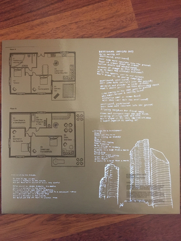 Snapped Ankles - Stunning Luxury - Vinyl Record image 3