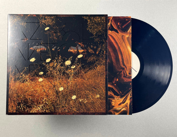 SZUN WAVES - EARTH PATTERNS - Vinyl Record image 1