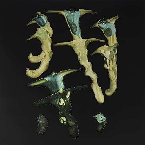 RAINFOREST SPIRITUAL - JELLYFISH REPRODUCE BLACK MAGIC - Vinyl Record image 2