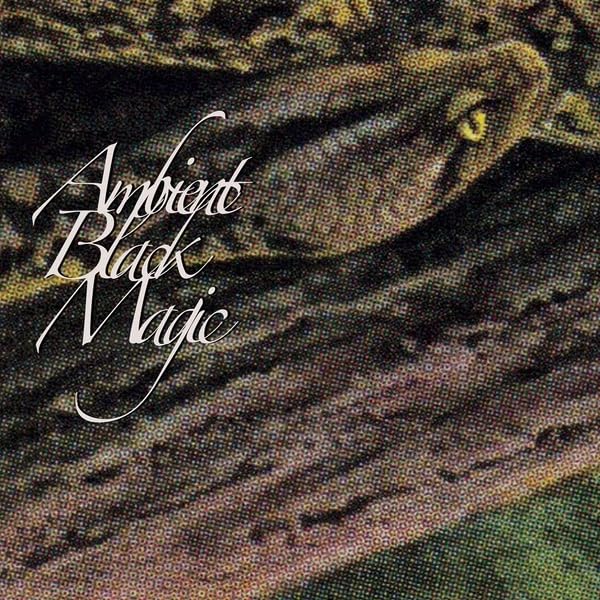 RAINFOREST SPIRITUAL - AMBIENT BLACK MAGIC (3LP) - Vinyl Record 3LP image 1