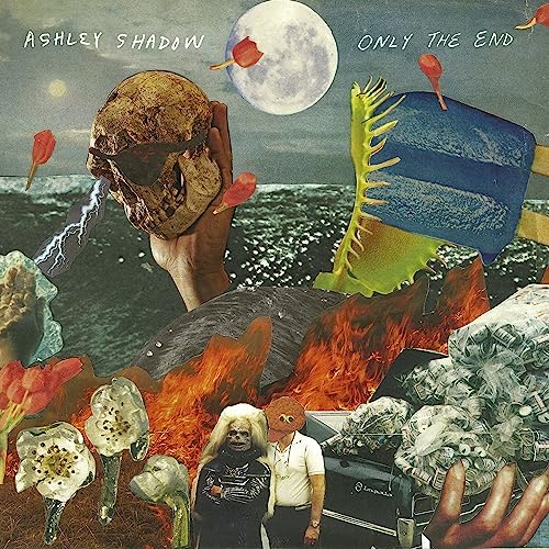 ASHLEY SHADOW - ONLY THE END - Vinyl Record VL image 1