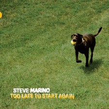 STEVE MARINO - TOO LATE TO START AGAIN - Vinyl Record image 1