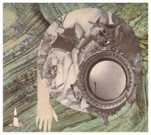 BRUCE LAMONT - BROKEN LIMBS EXCITE NO PITY - CD image 1