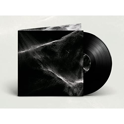 FINAL LIGHT - Vinyl Record image 1