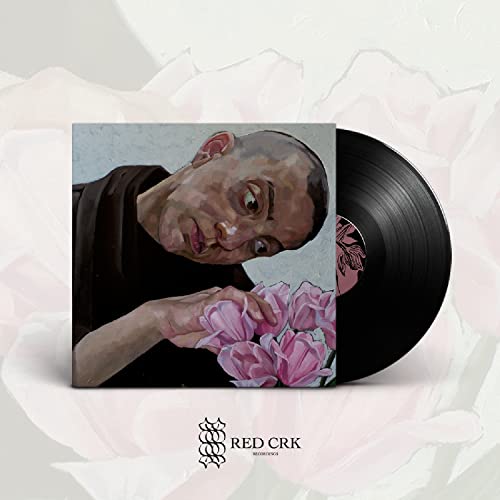 BIRDS IN ROW - GRIS KLEIN - LP - Vinyl Record image 2