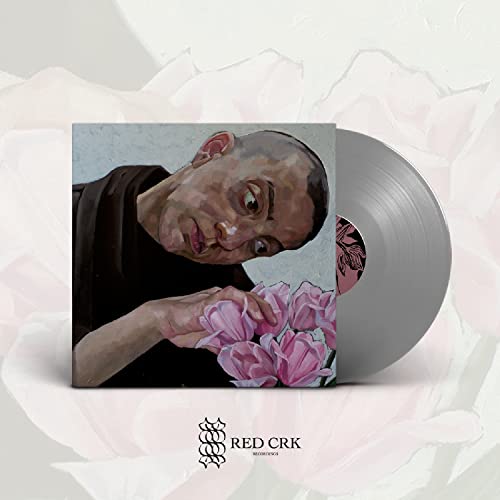 BIRDS IN ROW - GRIS KLEIN (SILVER VINYL) - LP - Vinyl Record image 1