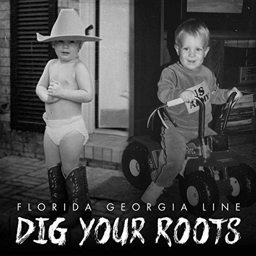 Florida Georgia Line - Dig Your Roots - CD image 1