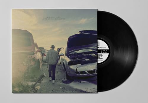 R.R. WILLIAMS - UNREMARKABLE LIVES - Vinyl Record image 1