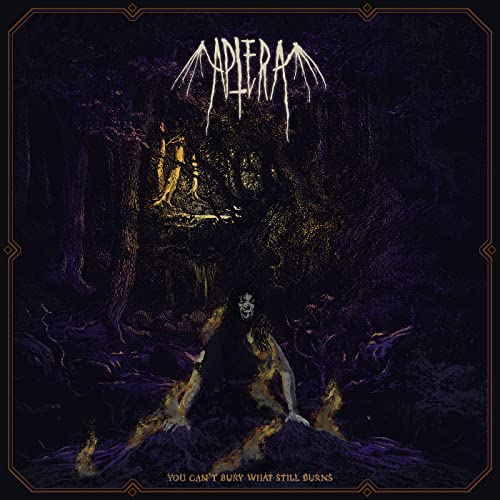 APTERA - YOU CAN'T BURY WHAT STILL BURNS - CD image 1